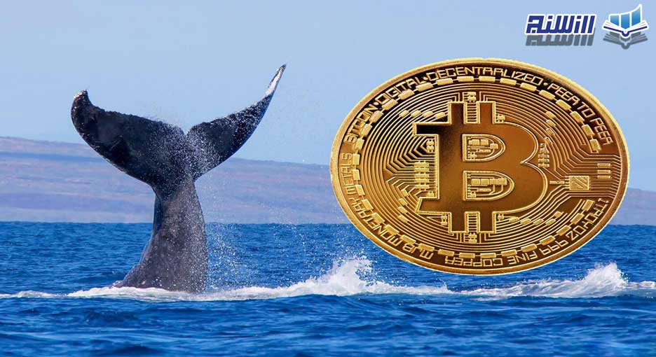 نهنگ ارز دیجیتال